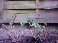 2011 07 09 002.webp
