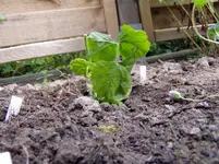 2011 07 09 008.webp