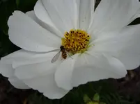 2011 07 09 022.webp