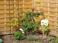 2011 07 09 032.webp