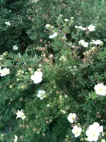Foto1.webp