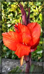comp_DSC03564.webp