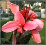 comp_DSC03568.webp