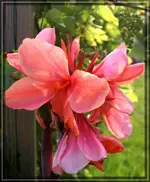 comp_DSC03569.webp