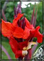 comp_DSC03594.webp