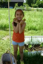 Kartoffelernte1_09072011.webp