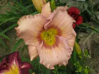 Bild ab 249_1067x800.webp