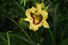 DSC05633.webp