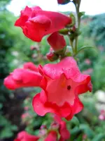 042.webp