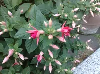 05072011253.webp