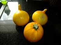 DSCF0691.webp