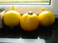 DSCF0696.webp