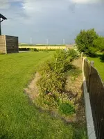 DSCF0676.webp