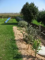 DSCF06755.webp