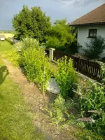 DSCF0675.webp