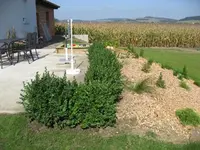 DSCF06733.webp