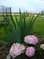 DSCF0650.webp