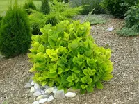 DSCF0651.webp