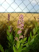 DSCF0656.webp