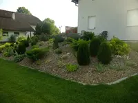 DSCF0670.webp