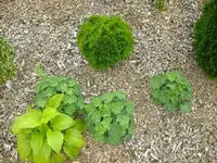 DSCF0671.webp