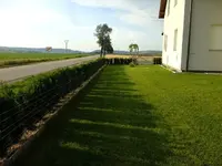 DSCF0677.webp