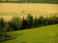 DSCF0687.webp