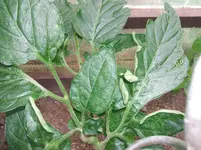 2011_0705070013.webp