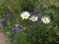 HPIM6533.webp