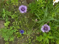 HPIM6531.webp
