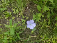 HPIM6530.webp