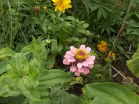 HPIM6526.webp