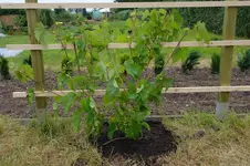 SAM_3077.webp SAM_3077.webp