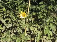 DVC00087.webp