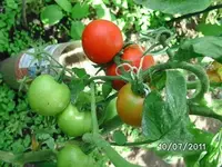 BILD0067.webp