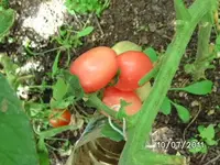 BILD0072.webp