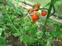 BILD0073.webp