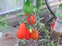 BILD0074.webp