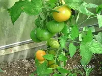 BILD0075.webp