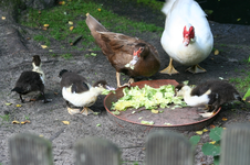 IMG_2968 - Kopie.webp