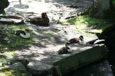 IMG_2966 - Kopie.webp