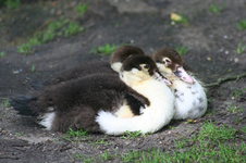 IMG_2959 - Kopie.webp