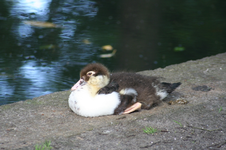 IMG_2965 - Kopie.webp