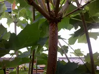 2011-07-10_15-20-30_235.webp