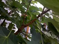 2011-07-10_15-20-37_768.webp