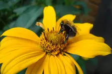 2011 07 08 133.webp