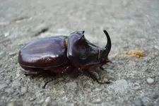 2011 06 21 169.webp