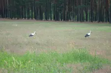 2011 07 08 154.webp