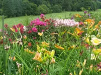 Bild 361_1067x800.webp