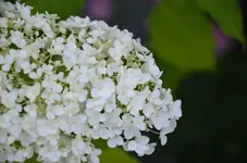 DSC_0068.webp